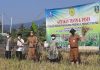 Ketersediaan Beras Banten Aman, Surplus 124 Ton