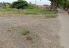 Pembangunan Lanjutan JLU Tidak Jelas, Akses Jalan Dibiarkan Penuh Rumput