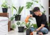 Ini Manfaat Memelihara Tanaman Bagi Kesehatan