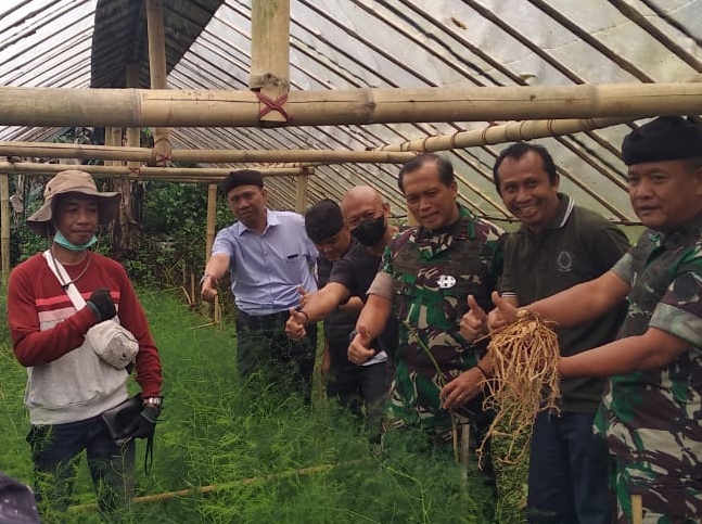 Bangkitkan Ekonomi Papua, Pangkogabwilhan III Cari Bibit Berpotensi di Ciwidey