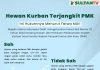 Hukum Kurban Terjangkit PMK Menurut MUI