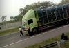 Setop Truk di Tol Tangerang-Merak Demi Konten, 8 Bocah Diamankan