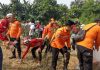 Hari Lingkungan, Pemprov Banten Giatkan Gerakan Tanam Pohon dan Bersih-bersih Sungai