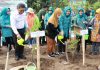 Dukung Gerakan Indonesia Emas 2045, Pemprov Banten Luncurkan Gerakan Menanam Sejuta Pohon Kelor