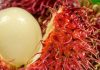 Rambutan, Si Manis yang Kaya Manfaat