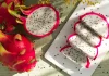 Manfaat Konsumsi Buah Naga untuk Kesehatan Tubuh