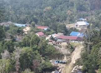 KNMP Doubo Disiapkan Perkuat Akses Pasar dan Tekan Biaya Logistik Nelayan Supiori